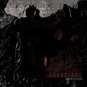 Controlled Burn album cover