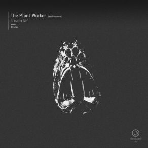 Trauma album cover