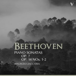 Beethoven: Piano Sonatas Nos. 4, 9 & 10 album cover