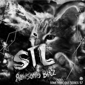 Rawsome Bitz album cover
