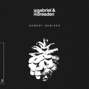Remedy (Remixed) album cover
