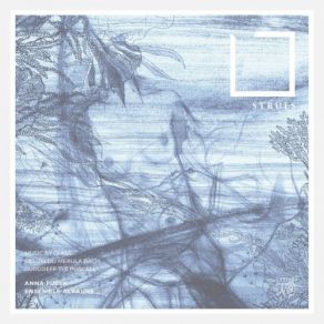 Strues (Online Version) album cover