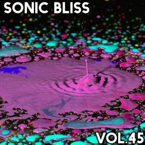 Sonic Bliss, Vol. 45 album cover