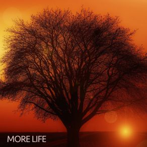More Life album cover