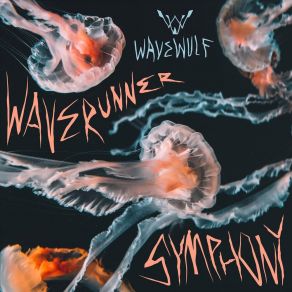Waverunner Symphony album cover