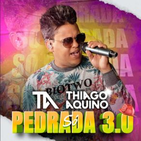 Só Pedrada 3.0 (Cover) album cover