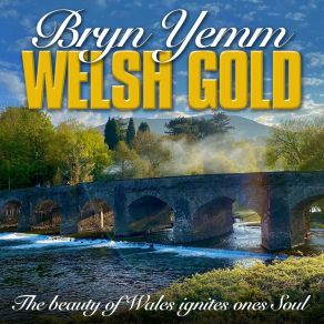 Welsh Gold album cover