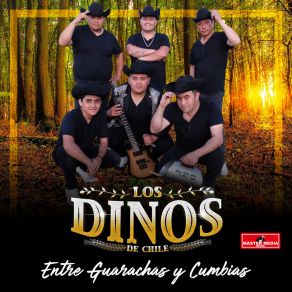 Entre Guarachas Y Cumbias album cover