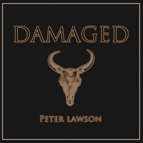 Damaged album cover