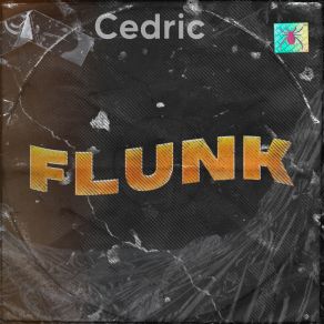 Flunk V1.0 album cover