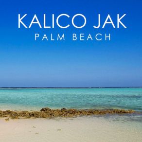 Palm Beach album cover