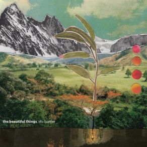 The Beautiful Things album cover