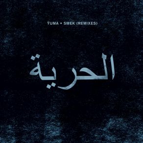 Smek (Remixes) album cover