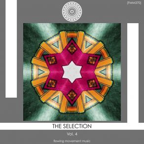 The Selection, Vol. 4 album cover