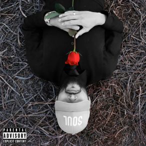 Poetry 'n Bloom. album cover