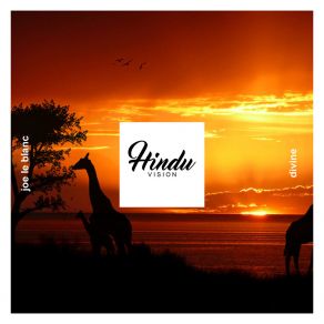 Divine album cover