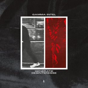 Generatie Desinteresse album cover