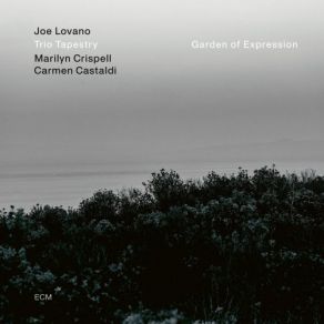 Garden Of Expression album cover