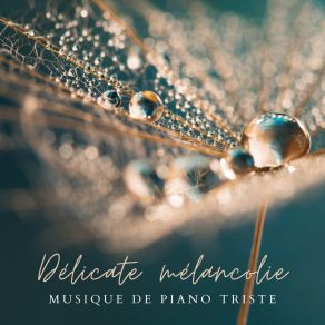 Délicate Mélancolie – Musique De Piano Triste Et Sentimentale Pour Libérer Des Émotions Intenses Et Apaiser Votre Cœur album cover