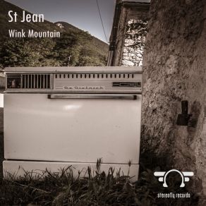 Wink Mountain album cover