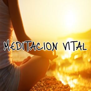 Meditacion Vital album cover