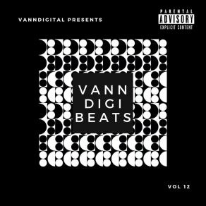 Vanndigibeats, Vol. 12 album cover