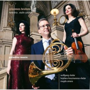 Brahms - Horn Trio; Violin Sonatas - Vladar, Kouzmanova, Amara album cover