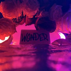 Wonder album cover