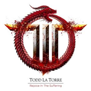 Rejoice In The Suffering album cover