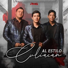 Al Estilo Culiacan album cover