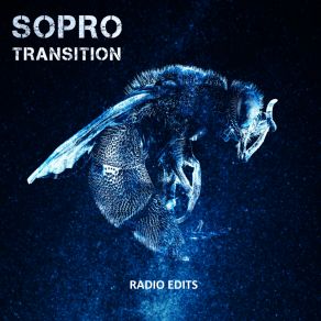 Transition Radio Edits (Radio Edit) album cover