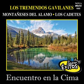 Encuentro En La Cima-Super Éxitos album cover