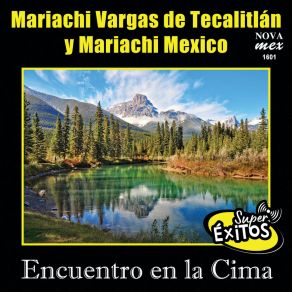 Encuentro En La Cima-Super Éxitos (Instrumental) album cover