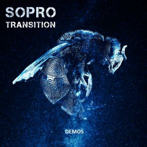 Transition Demos album cover