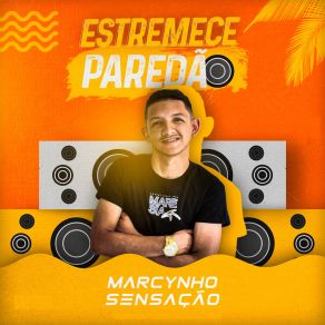 Estremece Paredão album cover