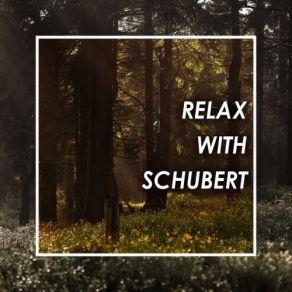 Relax With Schubert (CD2) album cover