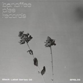 Black Label Series 05 album cover