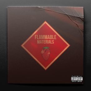 Flammable Materials album cover