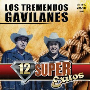 12 Super Exitos album cover