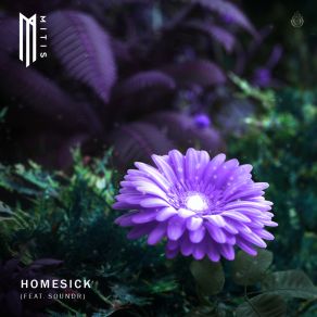Homesick album cover