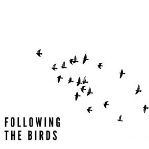 Following The Birds album cover