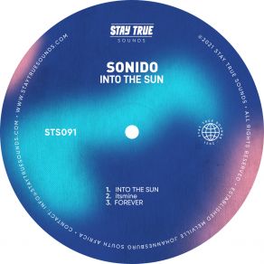 Into The Sun album cover