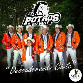 Descaderando Chile album cover