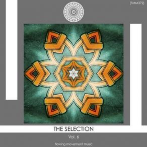 The Selection, Vol. 6 album cover