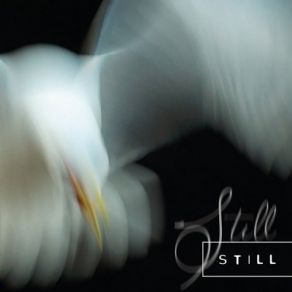 Still album cover