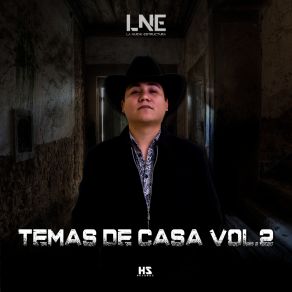 Temas De Casa Vol. 2 album cover