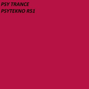 PSYTEKNO R51 album cover