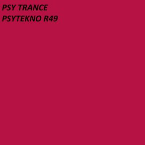 PSYTEKNO R49 album cover