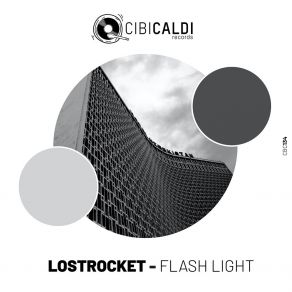 Flash Light album cover