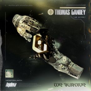 We Survive album cover